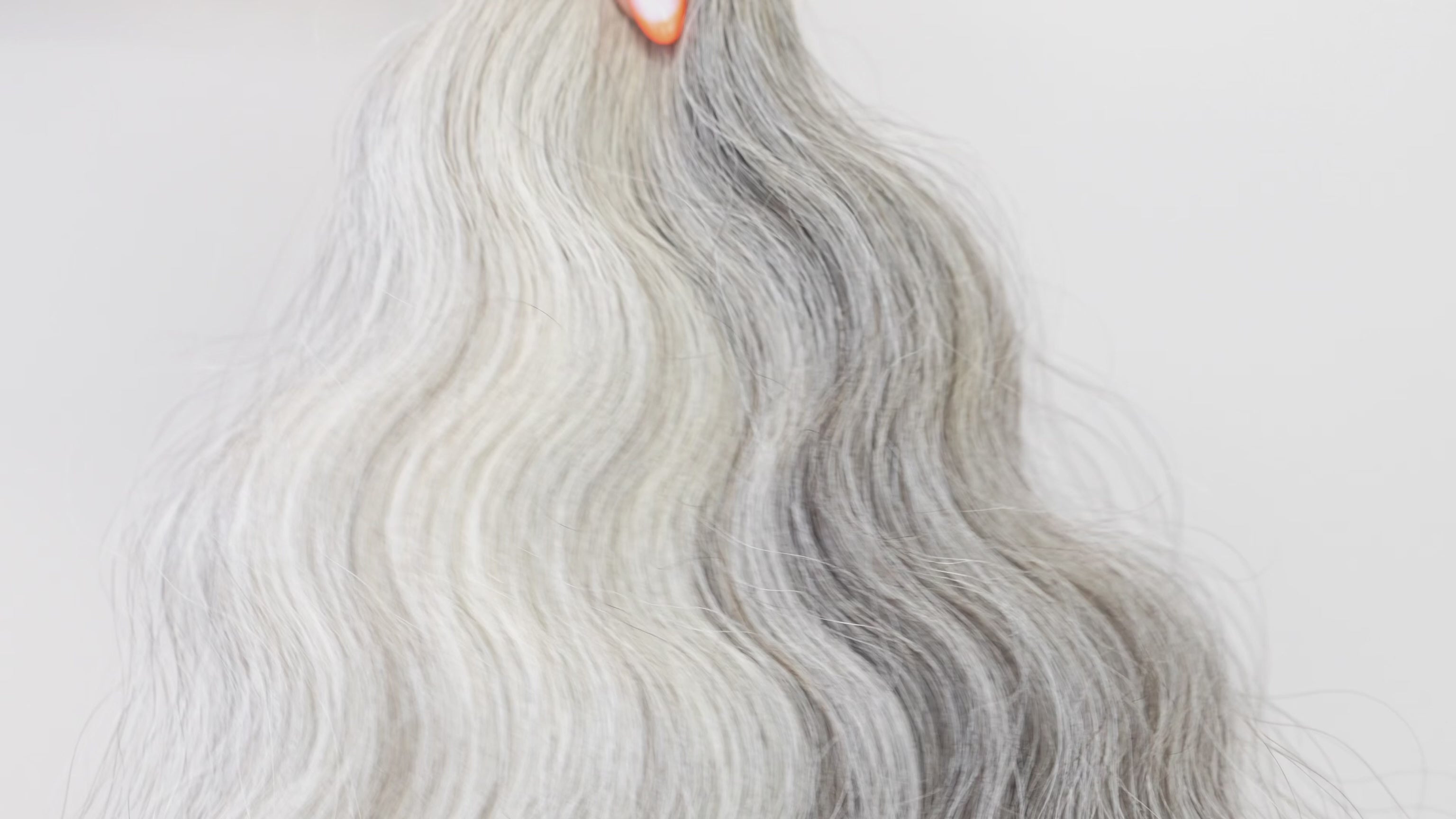 SLAVIC VIRGIN CURLY K-TIP 21" (A89)